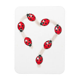 Imán Ladybug Heart Flexi