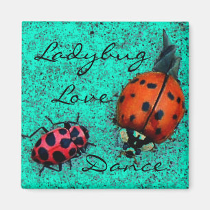 IMÁN LADYBUG LOVE DANCE MAGNET