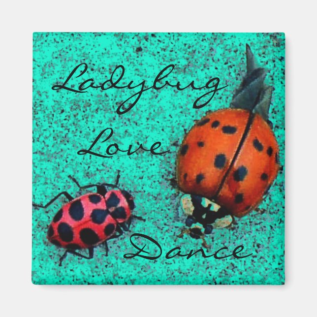 IMÁN LADYBUG LOVE DANCE MAGNET (Frente)