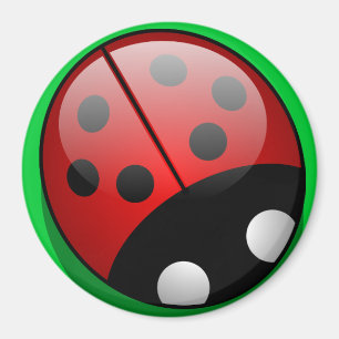 Imán Ladybug Magnet