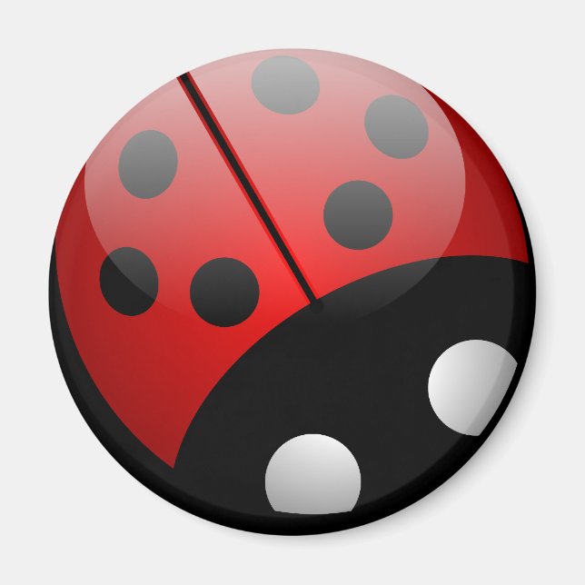 Imán Ladybug Magnet (Frente)