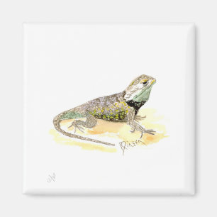 Imán Lagarto