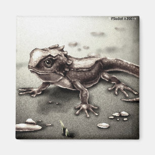 Imán Lagarto ANIML0017