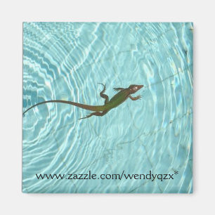Imán Lagarto de la natación