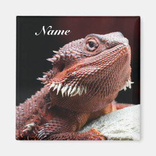 Imán Lagarto Dragón Barbudo Rojo Adulto Personalizado