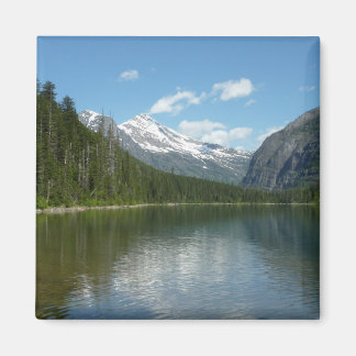 Imán Lago Avalanche I en el Parque Nacional Glaciar