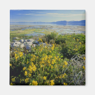 Imán LAGO BEAR, UT, ES, flor de mono & rodamonte,