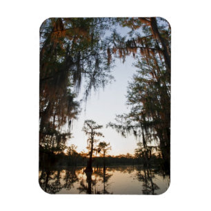 Imán Lago Caddo al amanecer