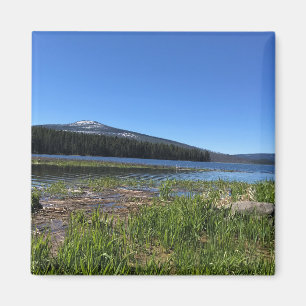 Imán Lago Davis, OR