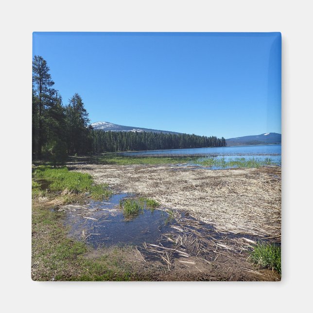 Imán Lago Davis, Oregón (Frente)