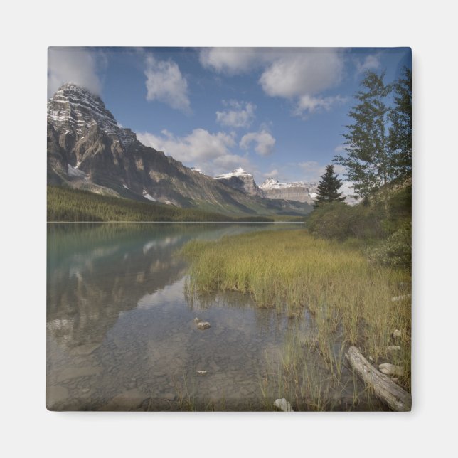 Imán Lago de aves acuáticas a lo largo de la carretera  (Frente)