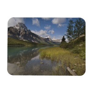Imán lago de aves acuáticas a lo largo de la Icefields