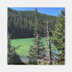 Imán Lago del diablo, OR