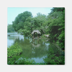 Imán Lago en Central Park