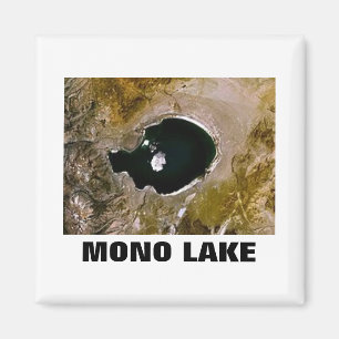 Imán Lago Mono