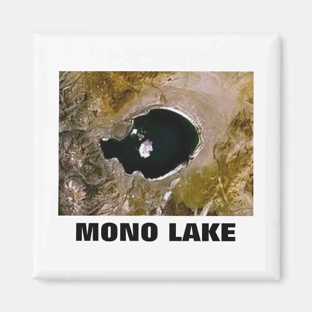 Imán Lago Mono (Frente)