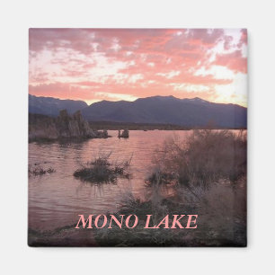 Imán Lago Mono