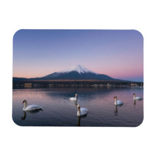 Imán Lago mount Fuji el   Yamanaka con los cisnes