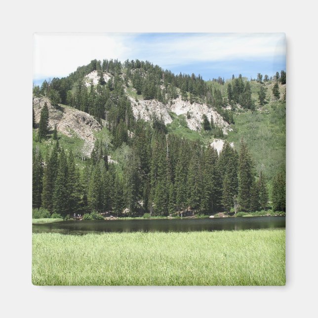 Imán Lago Plateado (Frente)