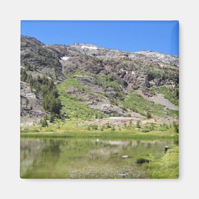 Imán Lago Shell, Paso Tioga, CA (Frente)