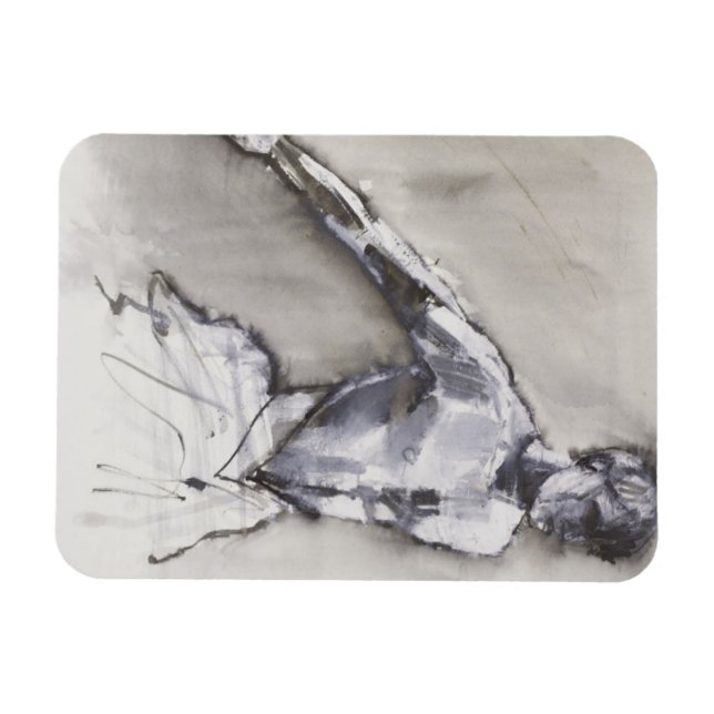 Imán Lago Swan 2001 (Horizontal)