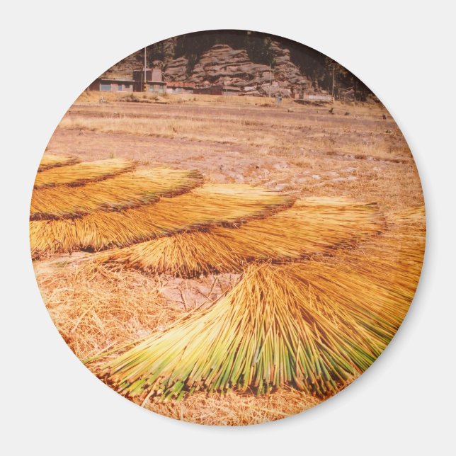 Imán Lago Titicaca Uros Reed (Frente)