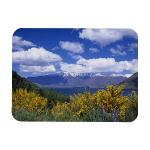 Imán Lago Wakatipu y The Remarkables, Queenstown,