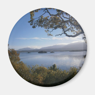 Imán lago y árboles.JPG