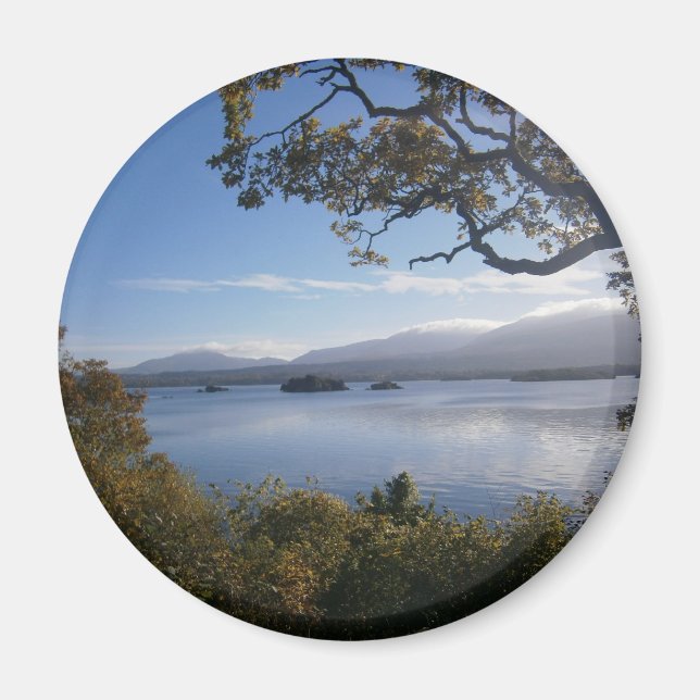 Imán lago y árboles.JPG (Frente)