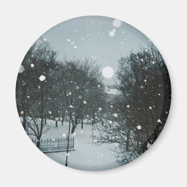 Imán Lagos de invierno (Frente)