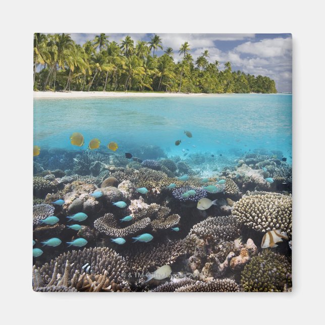 Imán Laguna tropical en el atolón de Ari Sur (Frente)