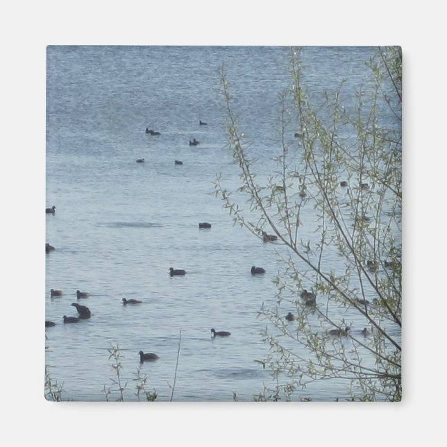 Imán Lake Birds Magnet (Frente)