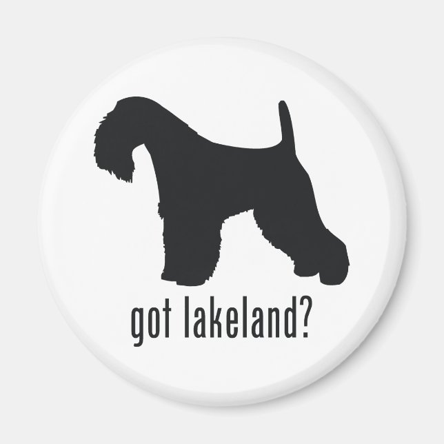 Imán Lakeland Terrier (Frente)