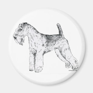 Imán Lakeland Terrier