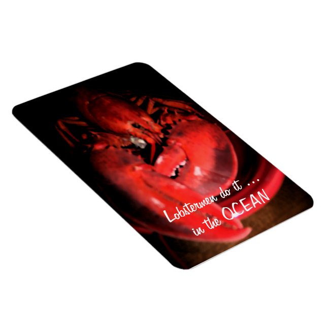 Imán Langostas (Lado Derecho)