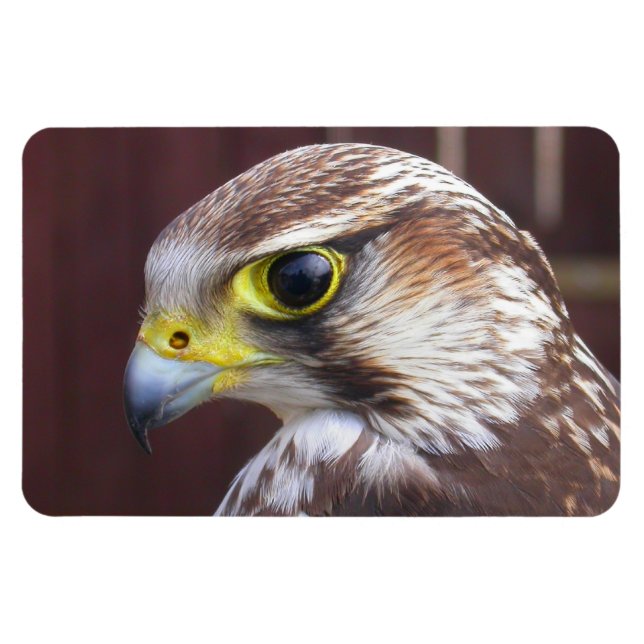 Imán Lanner Falcon (Horizontal)
