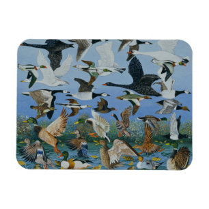 Imán Lanzamiento de 1996