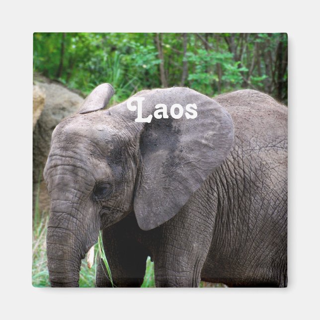Imán Laos Elephant (Frente)