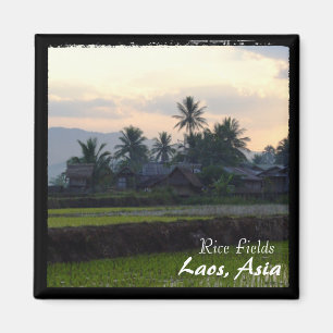 Imán Laos, puesta del sol sobre campos de arroz (Magnet