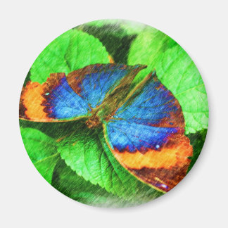 Imán Lápiz de mariposa azul magnético