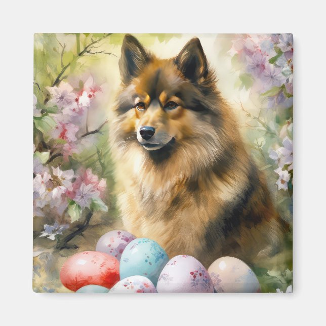 Imán Lapphund finlandés con huevos de Pascua (Frente)