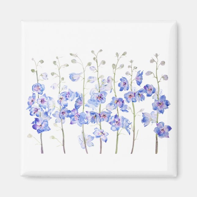 Imán larkspur (Frente)