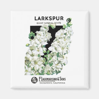 Imán Larkspur, blanco imperial gigante, F. Lagomarsino 