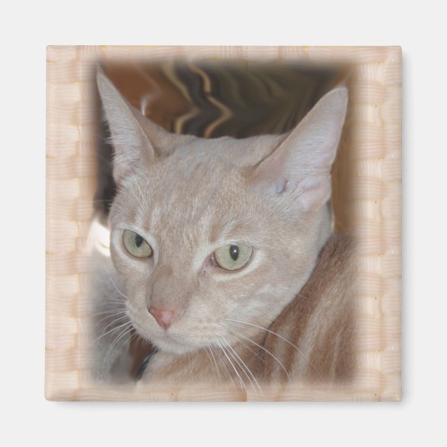 Imán Larry Grandkitty Magnet (Frente)