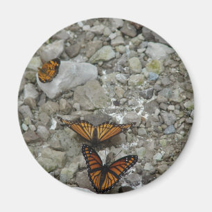 Imán Las 3 mariposas