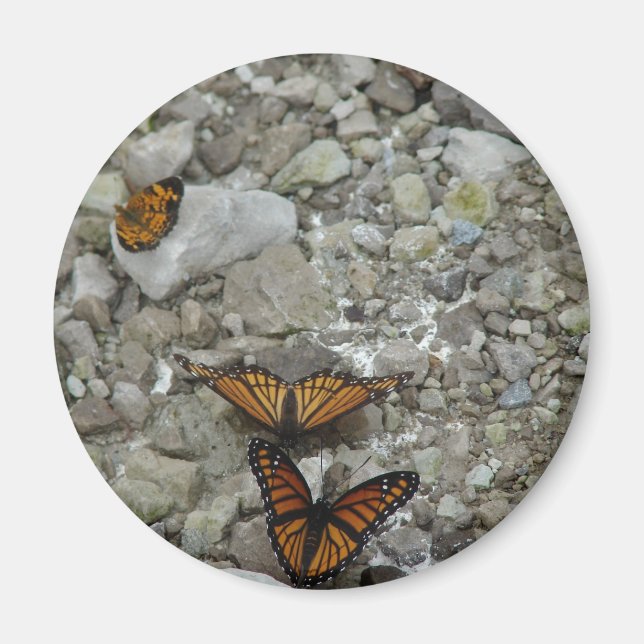 Imán Las 3 mariposas (Frente)