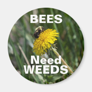 Imán Las abejas necesitan malezas