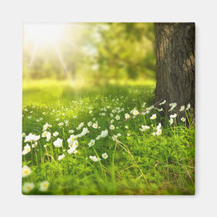 Imán Las alegrías de la primavera