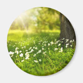 Imán Las alegrías de la primavera