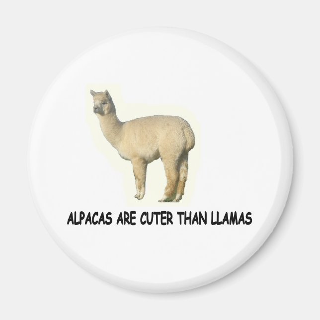 Imán Las alpacas son más cortas que las llamas (Frente)
